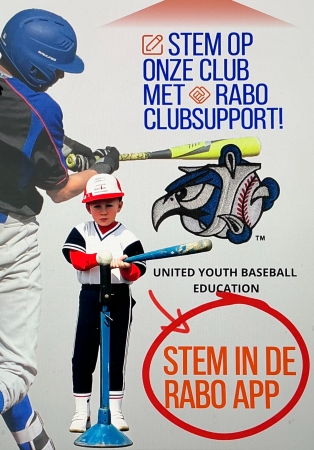 Waarom jouw stem belangrijk is