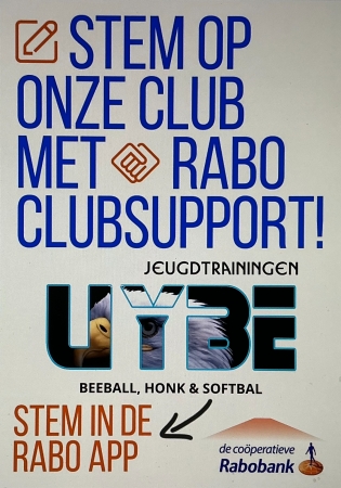Stemmen is eenvoudig